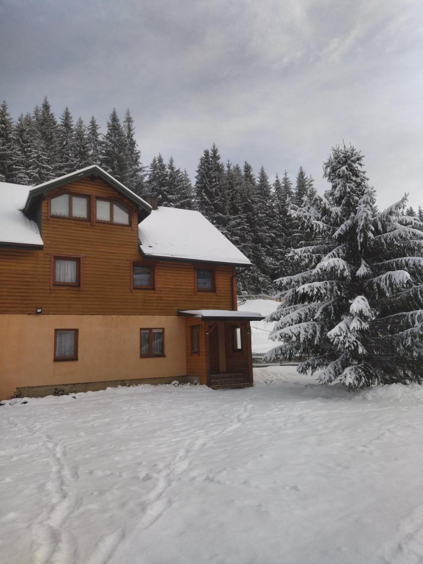 Ferienwohnung Hrystyna Jablunyzja Exterior foto